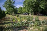 /album/galeria/rendekivendeghaz-12-jpg/